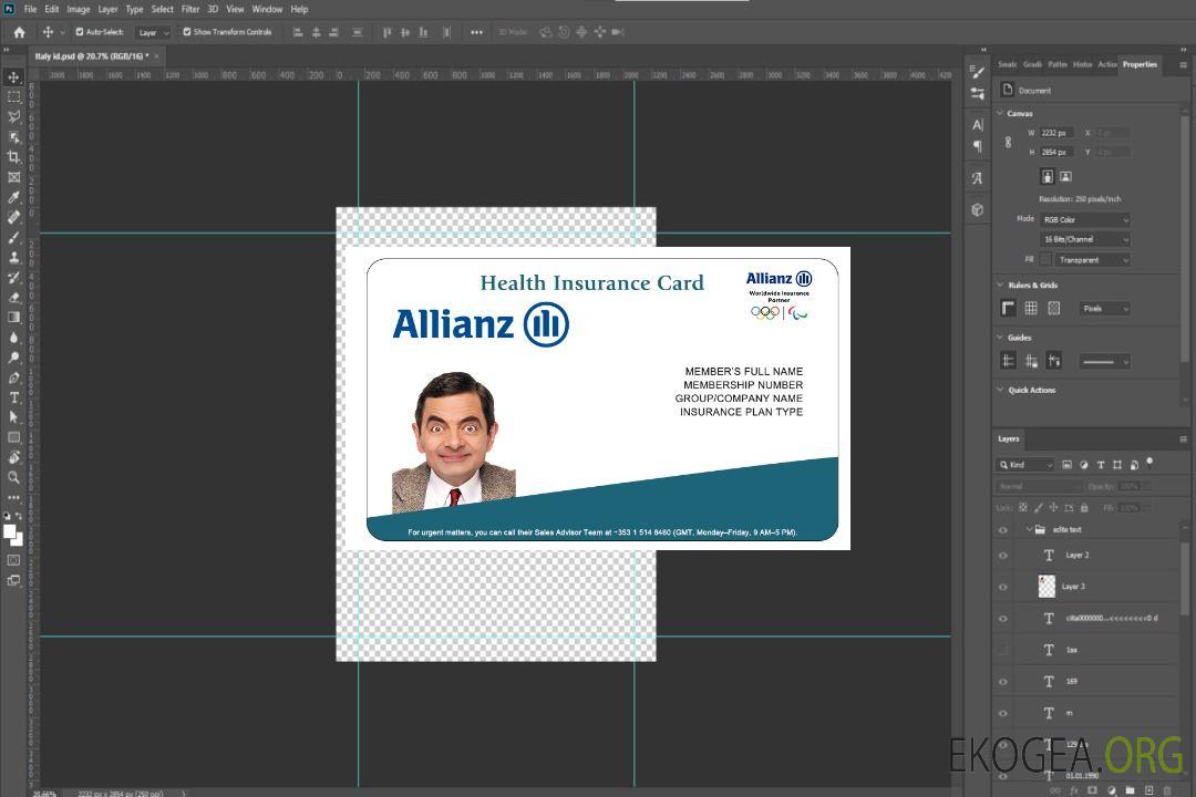 Carte d'assurance maladie chinoise template